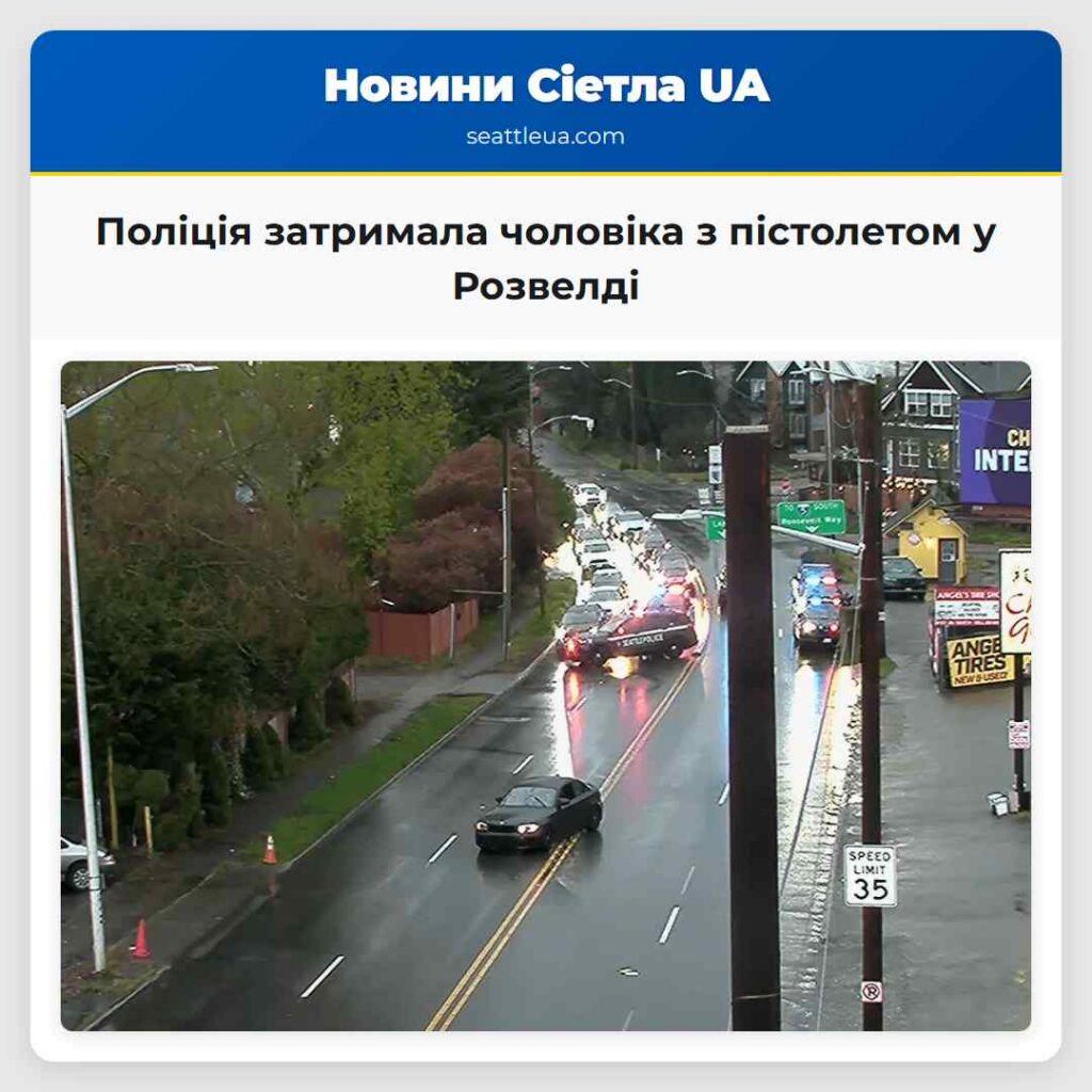 Поліція затримала чоловіка з пістолетом у Розвелді