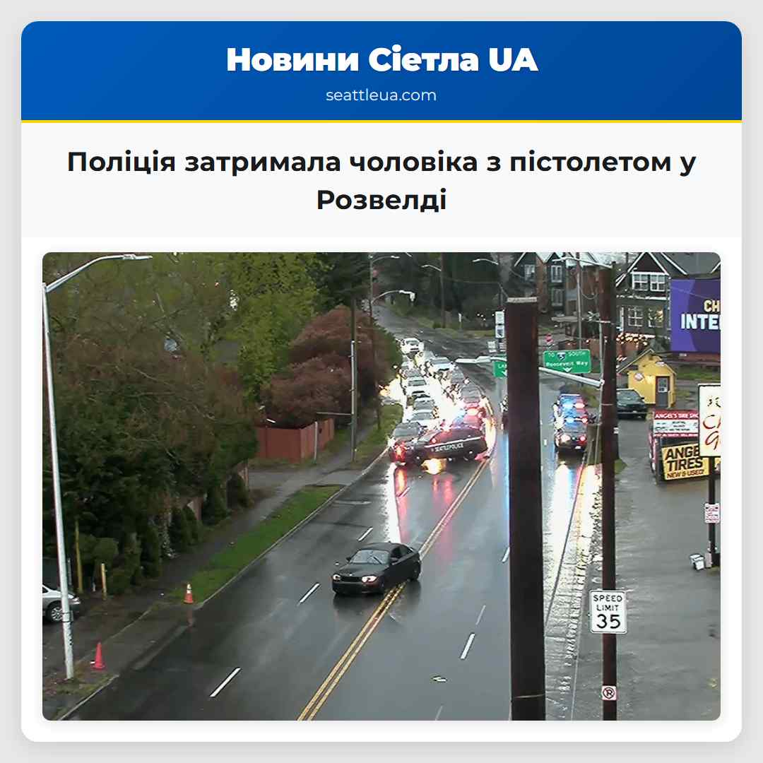 Поліція затримала чоловіка з пістолетом у Розвелді