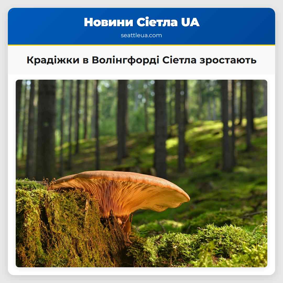 Крадіжки в Волінгфорді Сіетла зростають