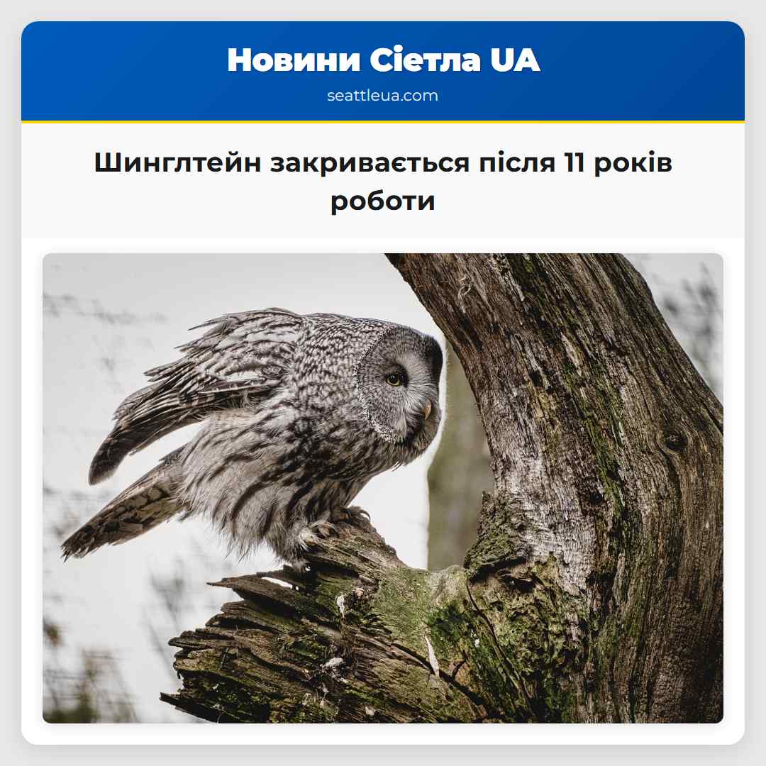 Шинглтейн закривається після 11 років роботи