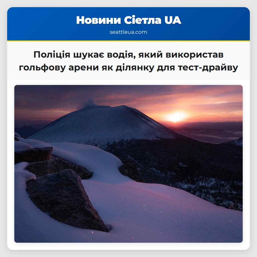 Поліція шукає водія, який використав гольфову