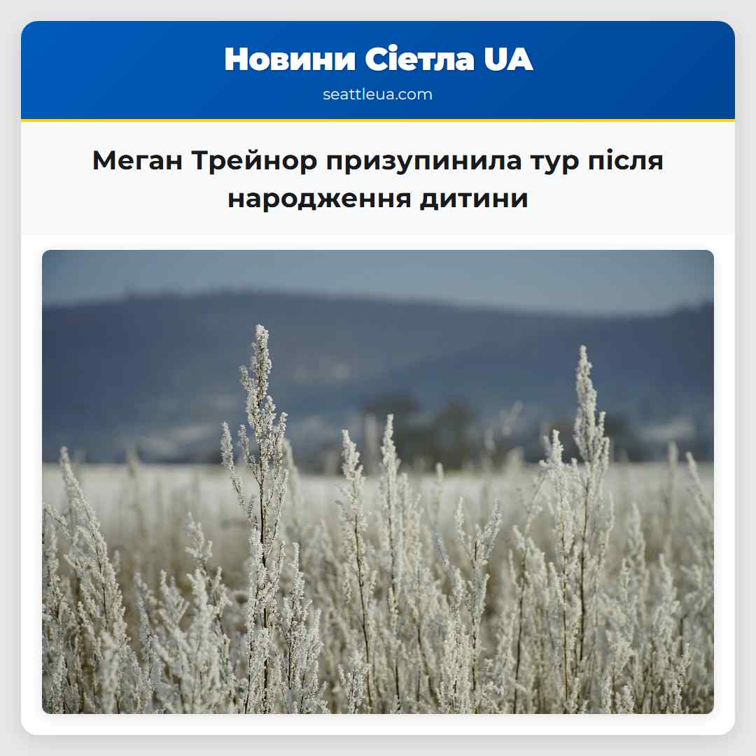 Меган Трейнор призупинила тур після народження