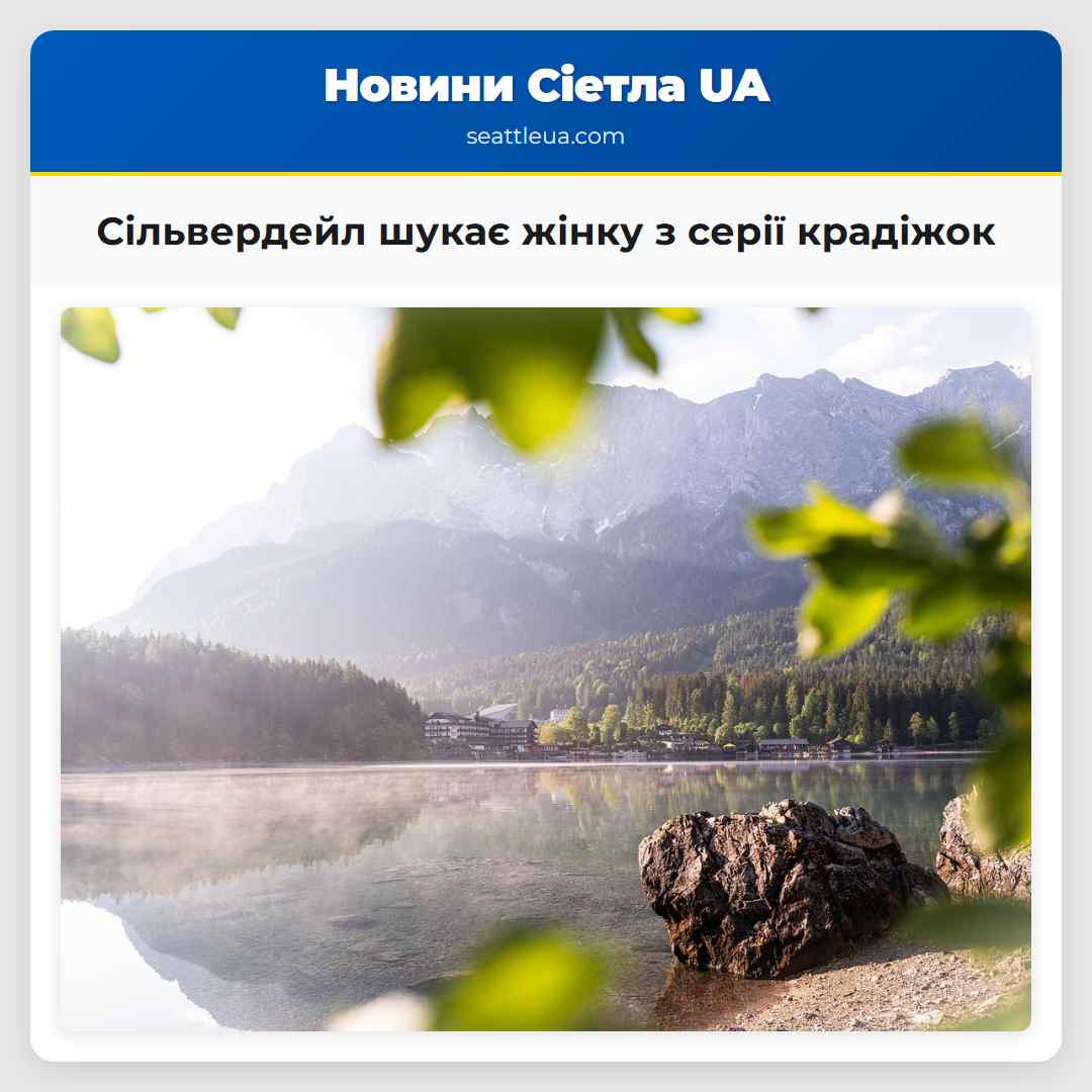 Сільвердейл шукає жінку з серії крадіжок