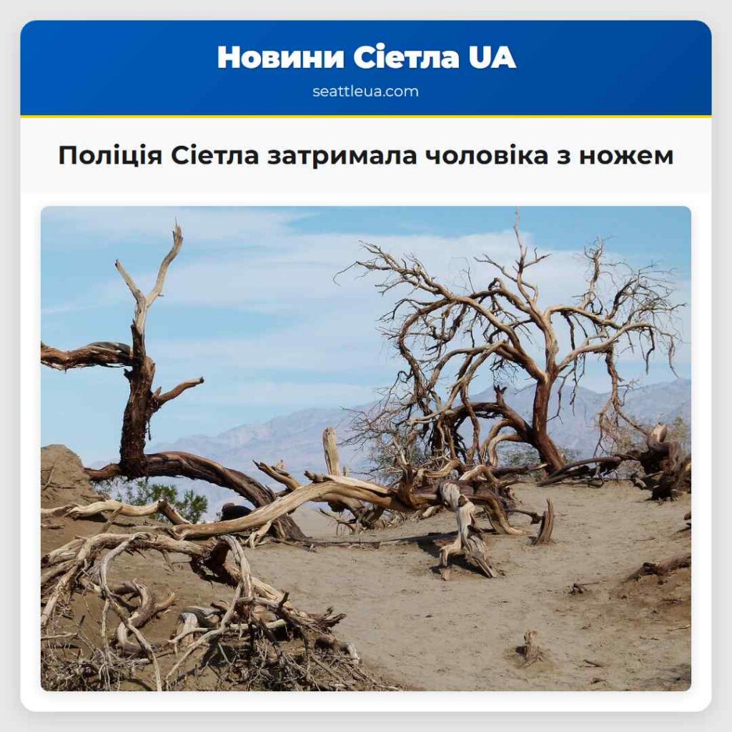 Поліція Сіетла затримала чоловіка з ножем