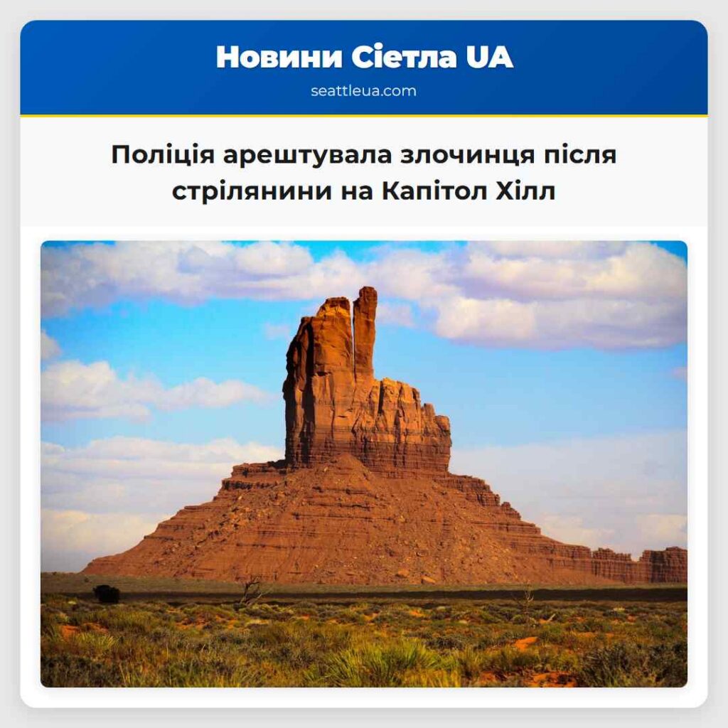 Поліція арештувала злочинця після стрілянини на