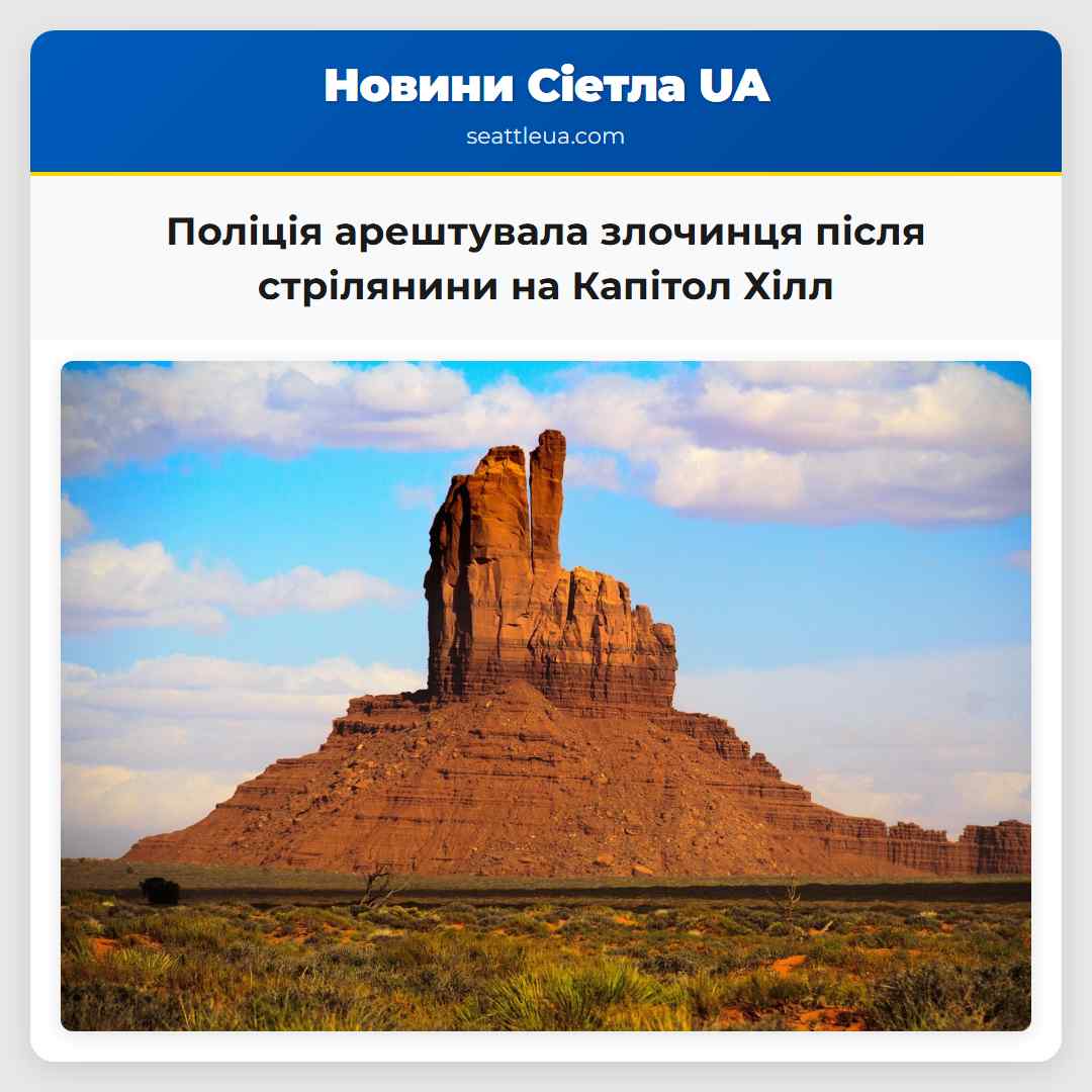 Поліція арештувала злочинця після стрілянини на