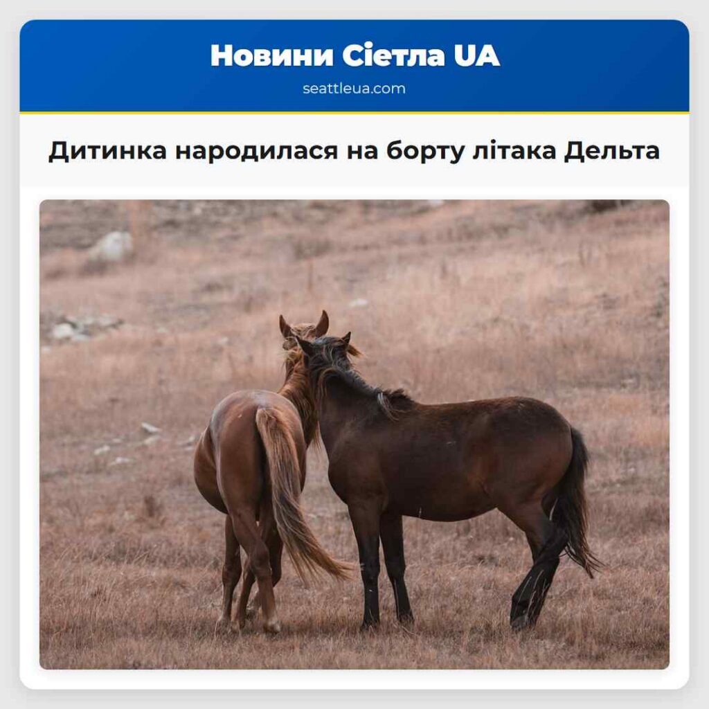 Дитинка народилася на борту літака Дельта