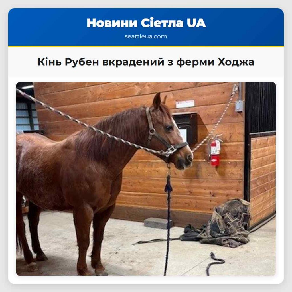 Кінь Рубен вкрадений з ферми Ходжа