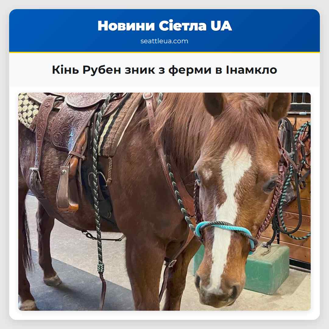 Кінь Рубен зник з ферми в Інамкло