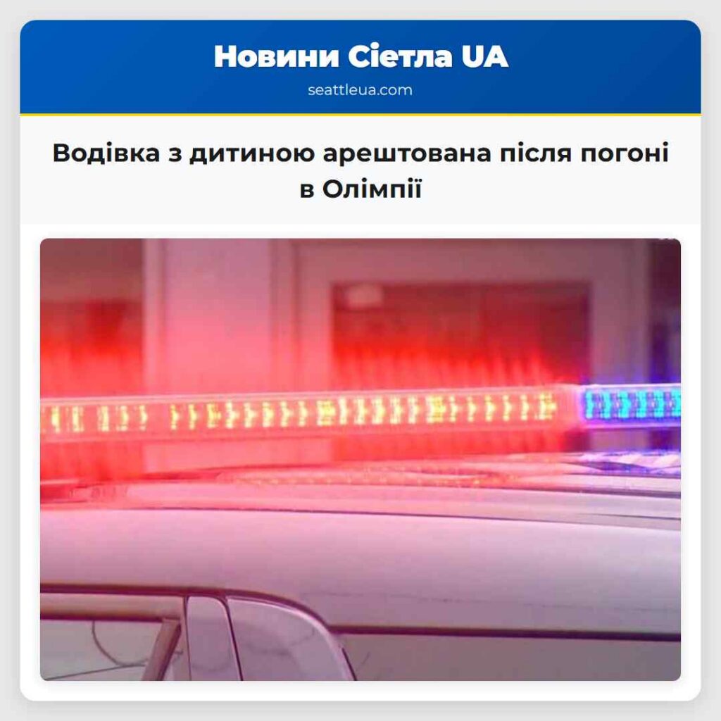 Водівка з дитиною арештована після погоні в