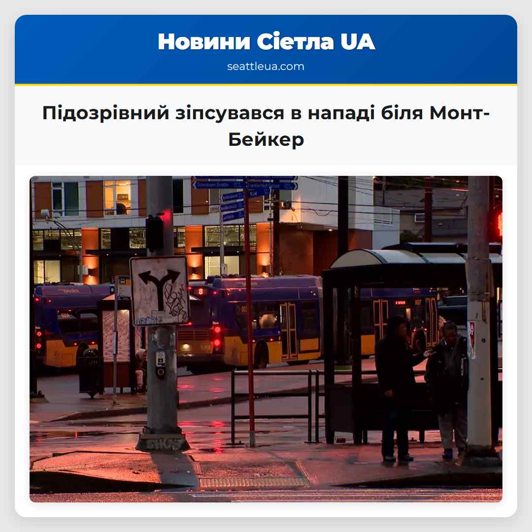 Підозрівний зіпсувався в нападі біля Монт-Бейкер