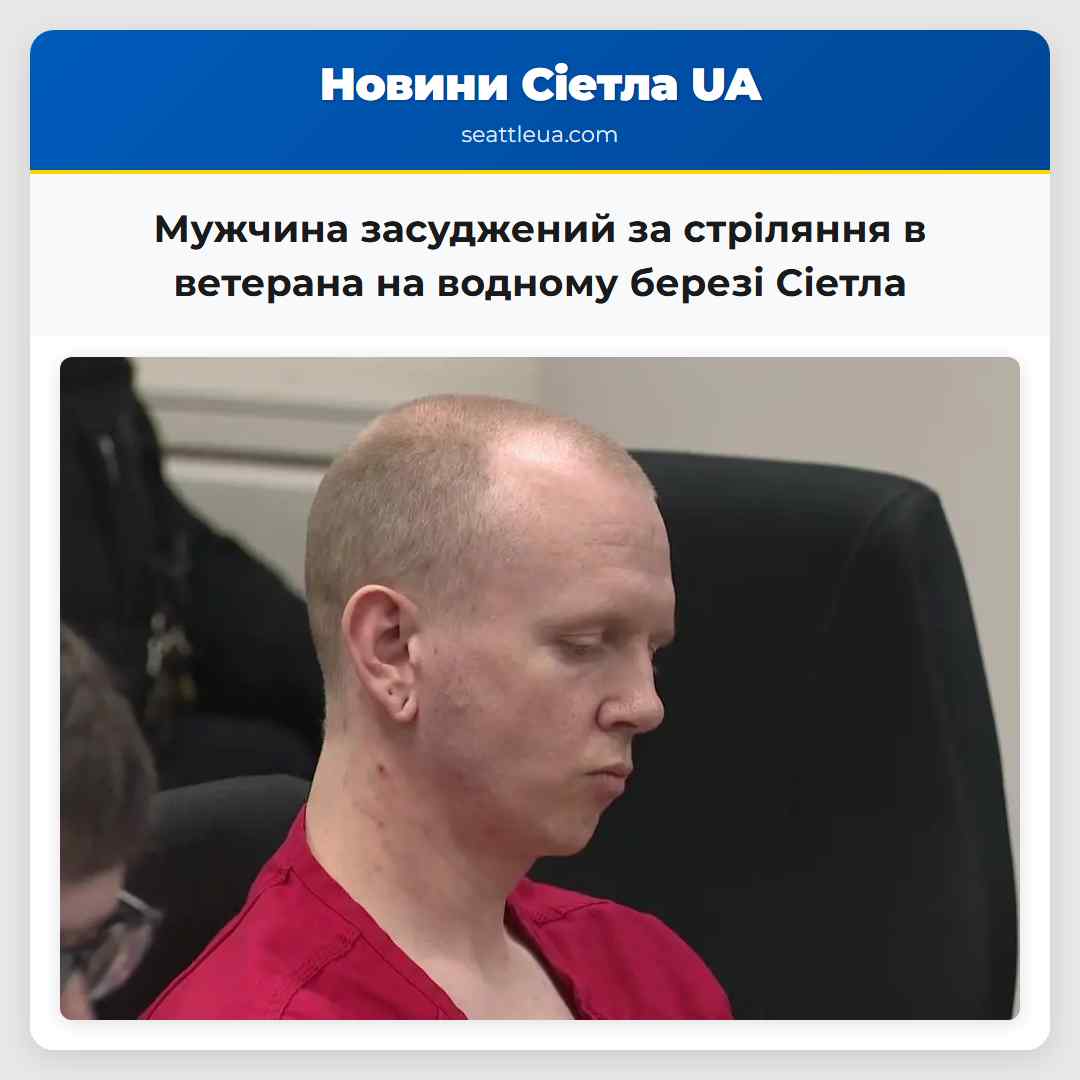 Мужчина засуджений за стріляння в ветерана на