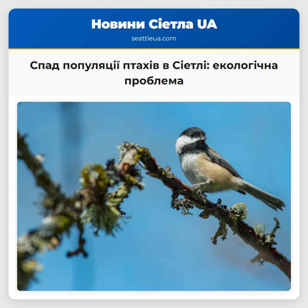 Спад популяції птахів в Сіетлі: екологічна