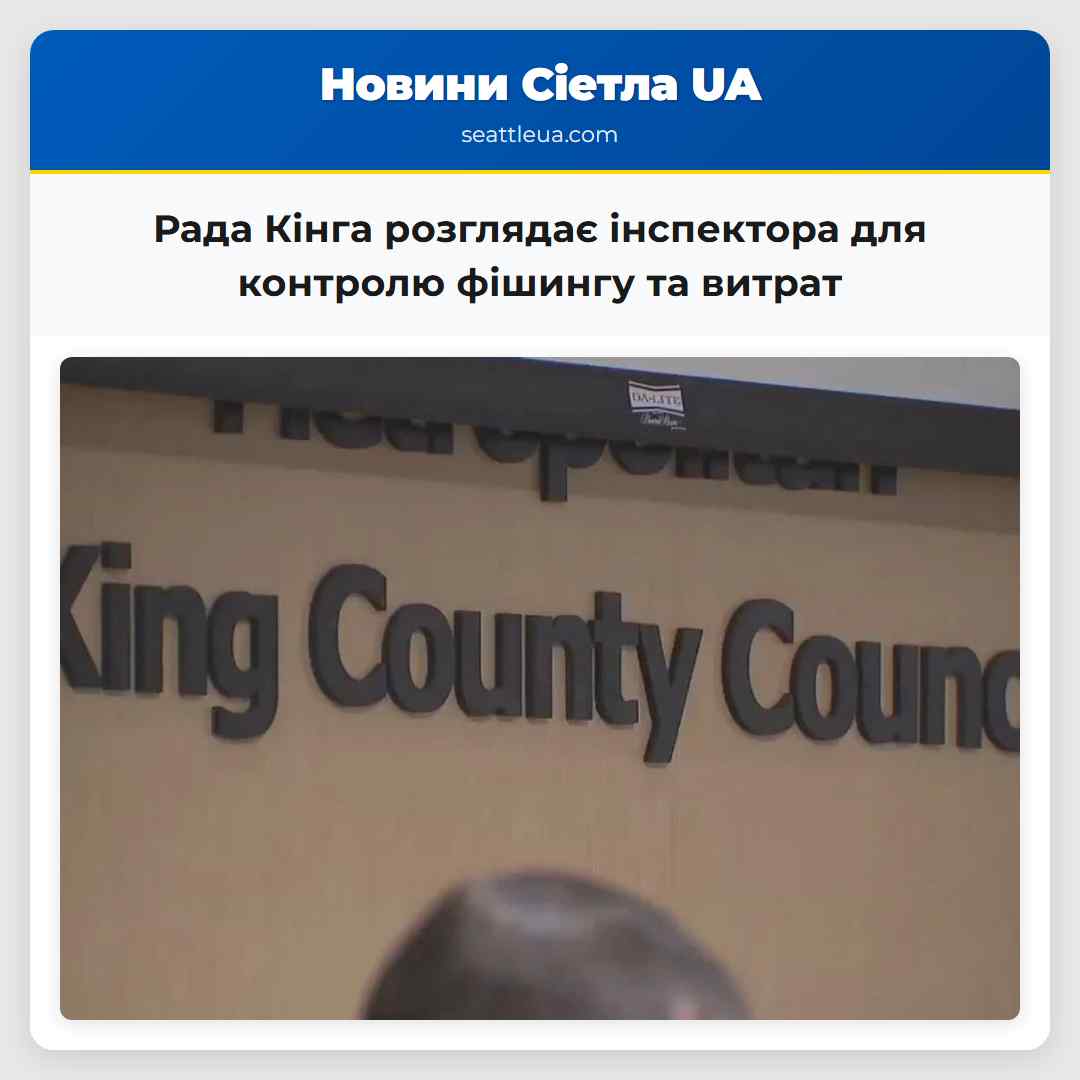 Рада Кінга розглядає інспектора для контролю