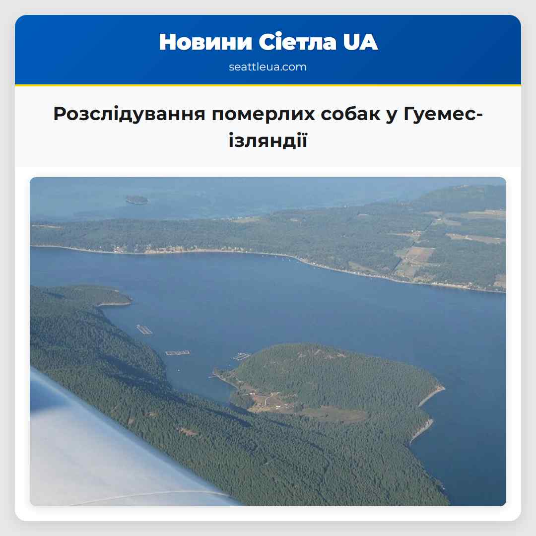 Розслідування померлих собак у Гуемес-ізляндії