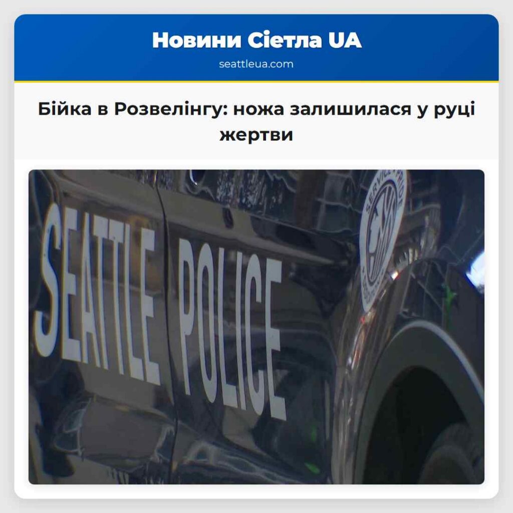 Бійка в Розвелінгу: ножа залишилася у руці жертви