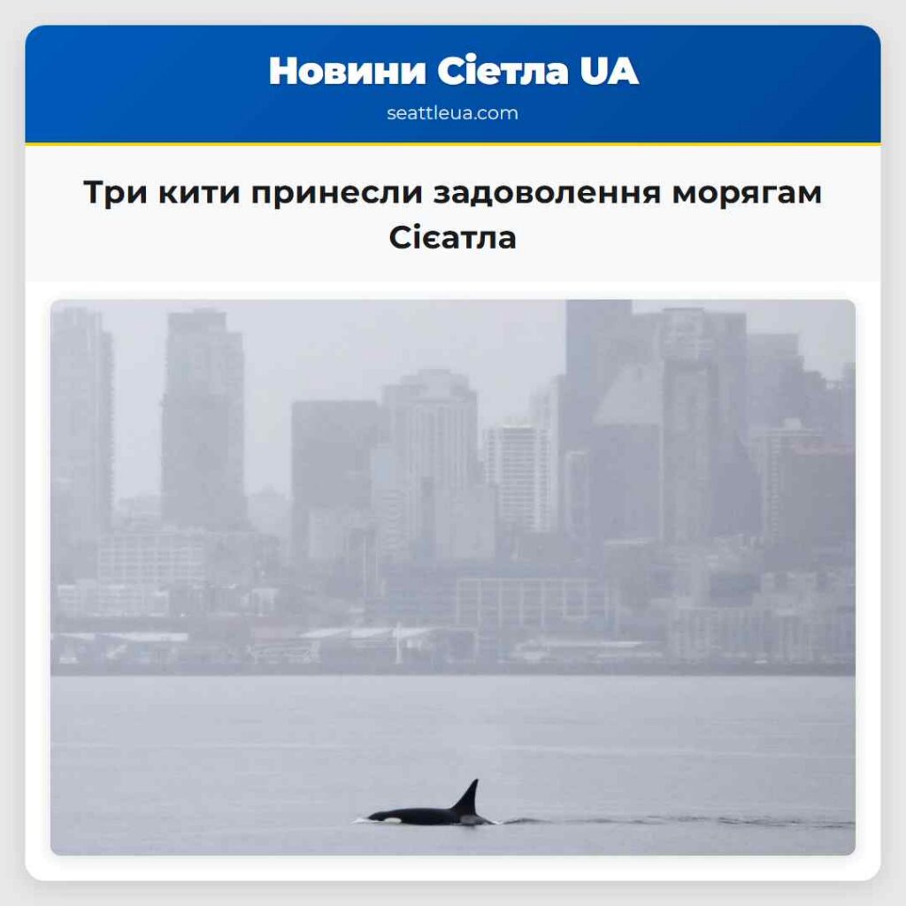 Три кити принесли задоволення морягам Сієатла