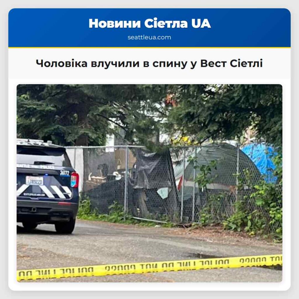 Чоловіка влучили в спину у Вест Сіетлі