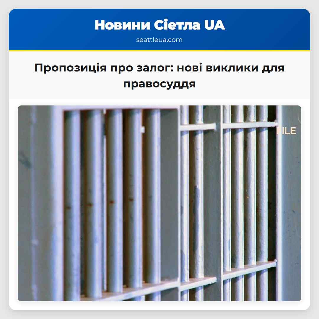 Пропозиція про залог: нові виклики для правосуддя