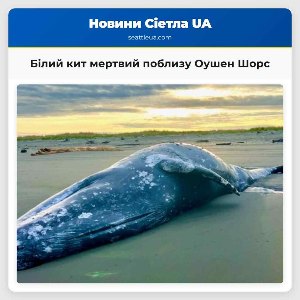 Білий кит мертвий поблизу Оушен Шорс