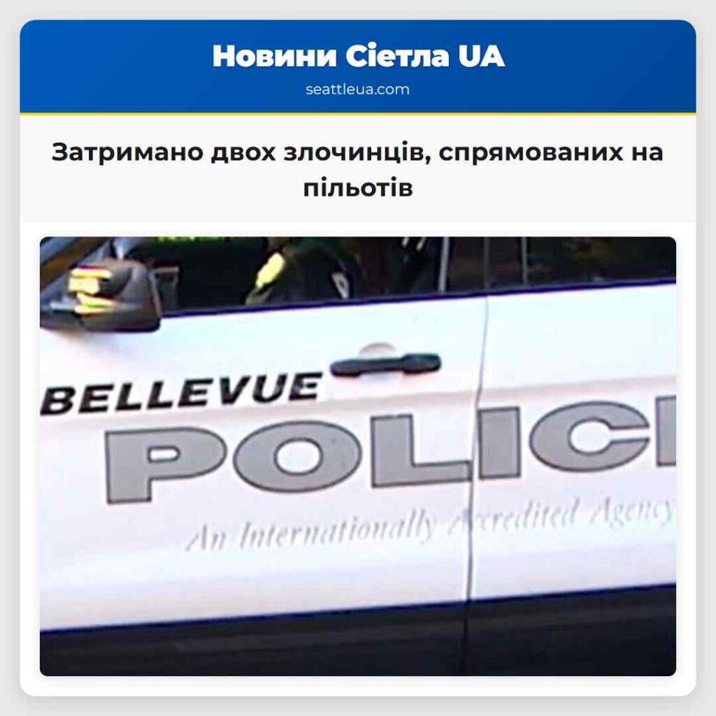 Затримано двох злочинців, спрямованих на пільотів