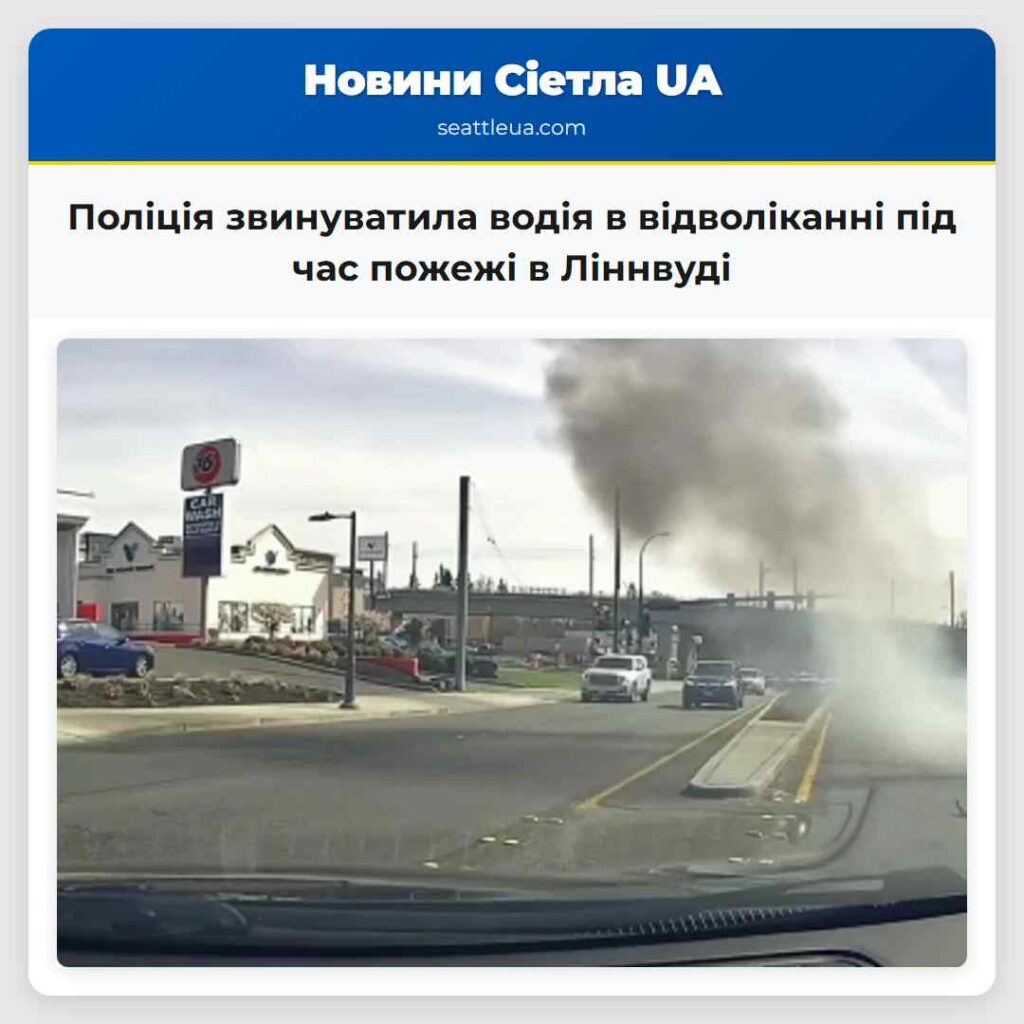Поліція звинуватила водія в відволіканні під час