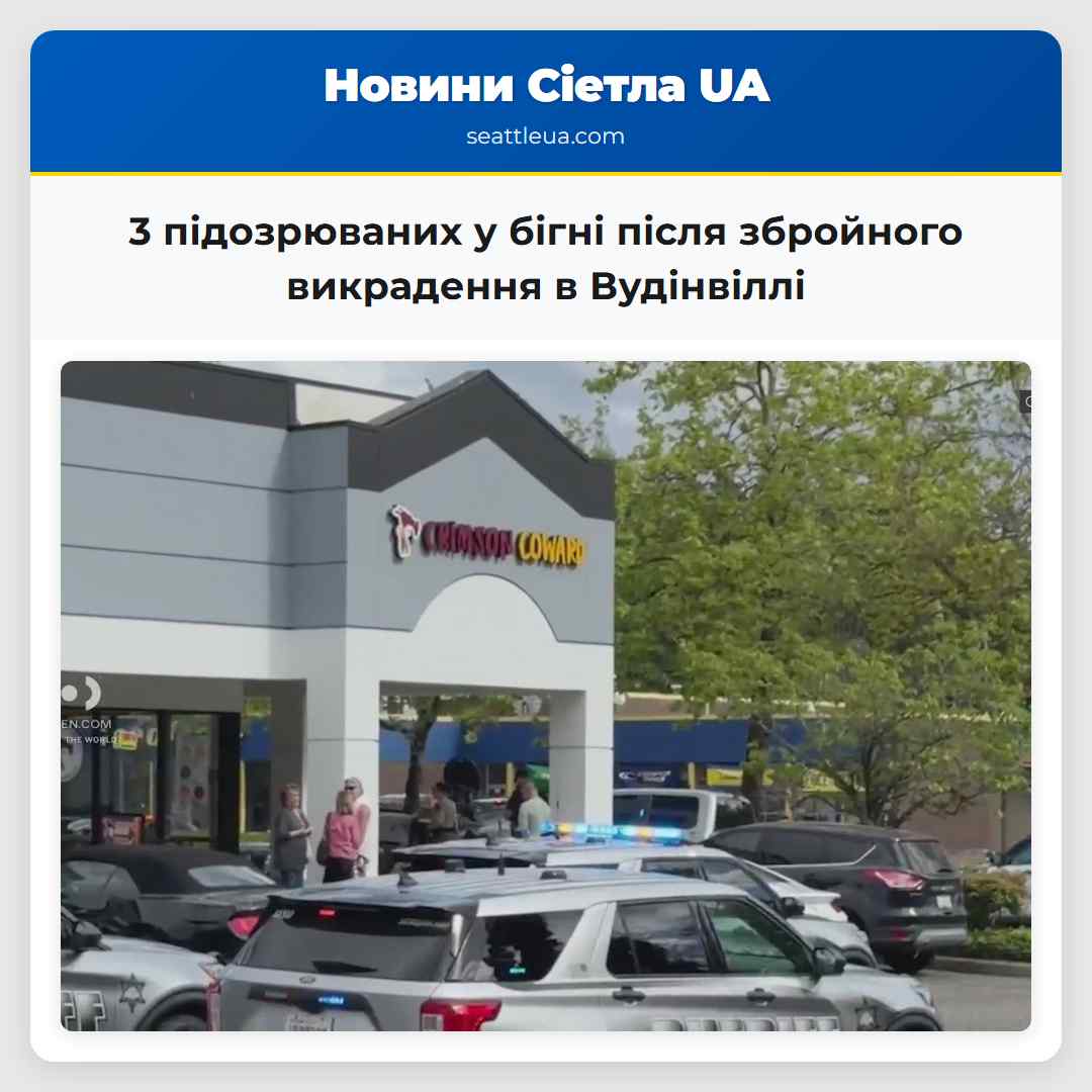 3 підозрюваних у бігні після збройного викрадення в Вудінвіллі
