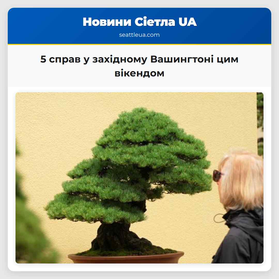5 справ у західному Вашингтоні цим вікендом