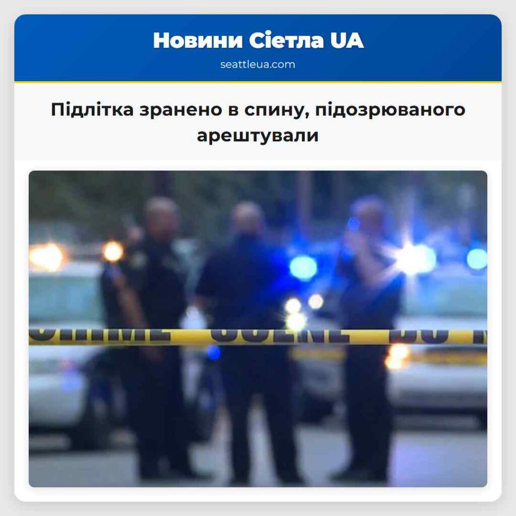 Підлітка зранено в спину, підозрюваного арештували