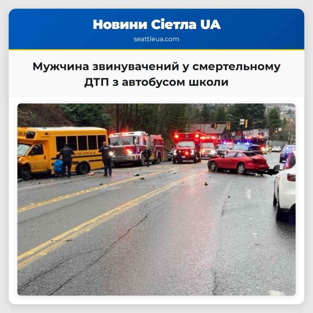 Мужчина звинувачений у смертельному ДТП з