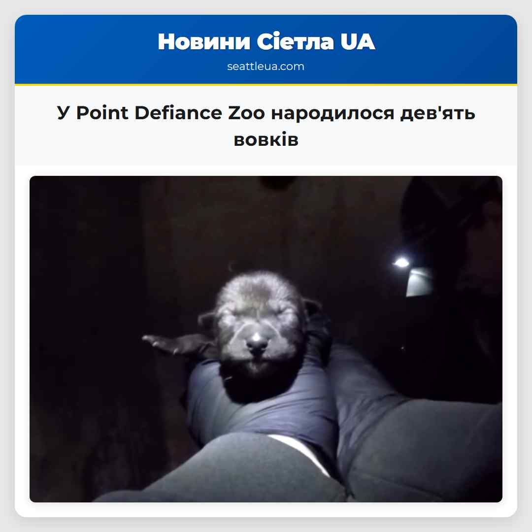 У Point Defiance Zoo народилося дев'ять вовків
