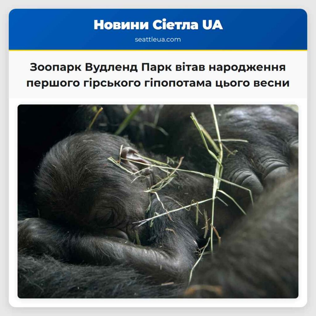 Зоопарк Вудленд Парк вітав народження першого
