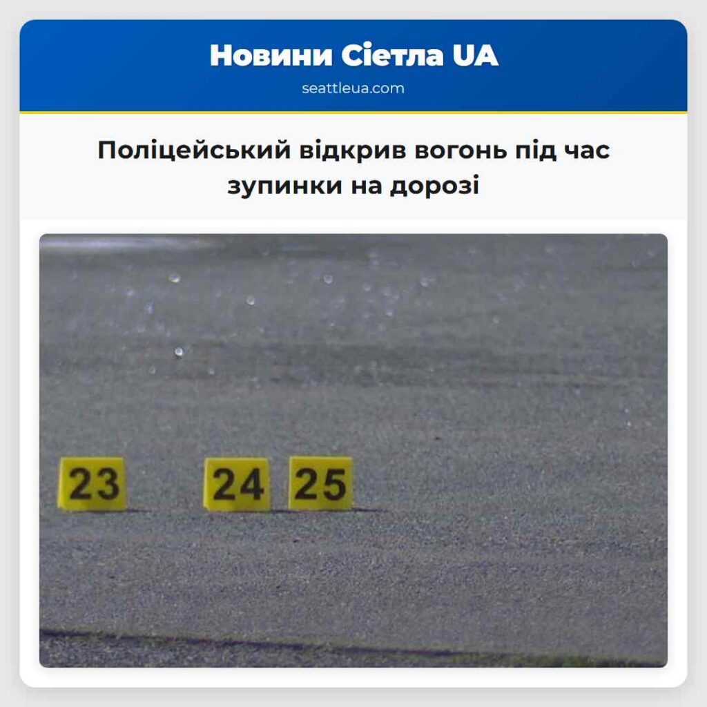 Поліцейський відкрив вогонь під час зупинки на