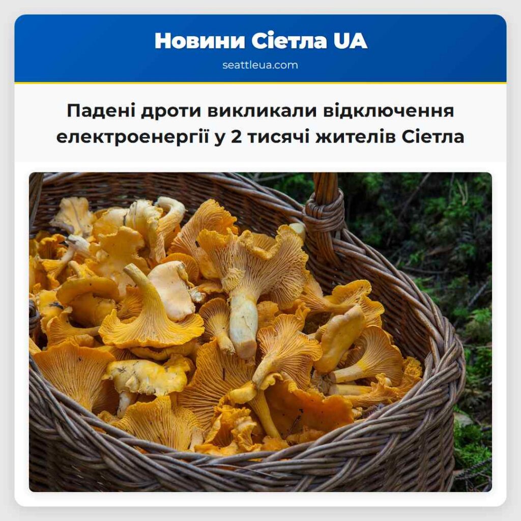 Падені дроти викликали відключення електроенергії