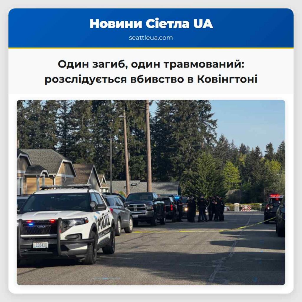 Один загиб, один травмований: розслідується