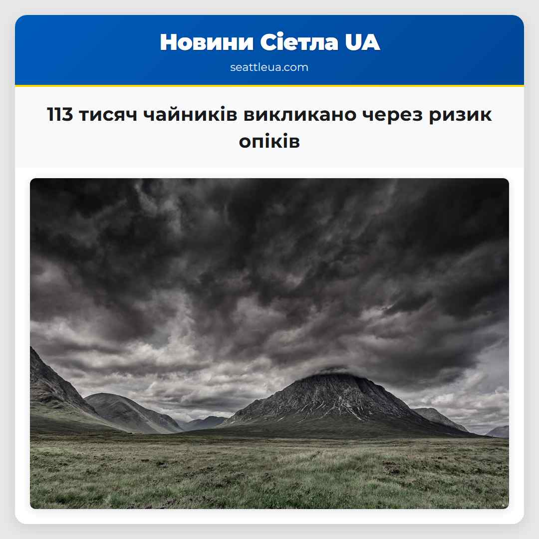 113 тисяч чайників викликано через ризик опіків