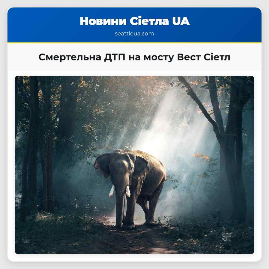 Смертельна ДТП на мосту Вест Сіетл