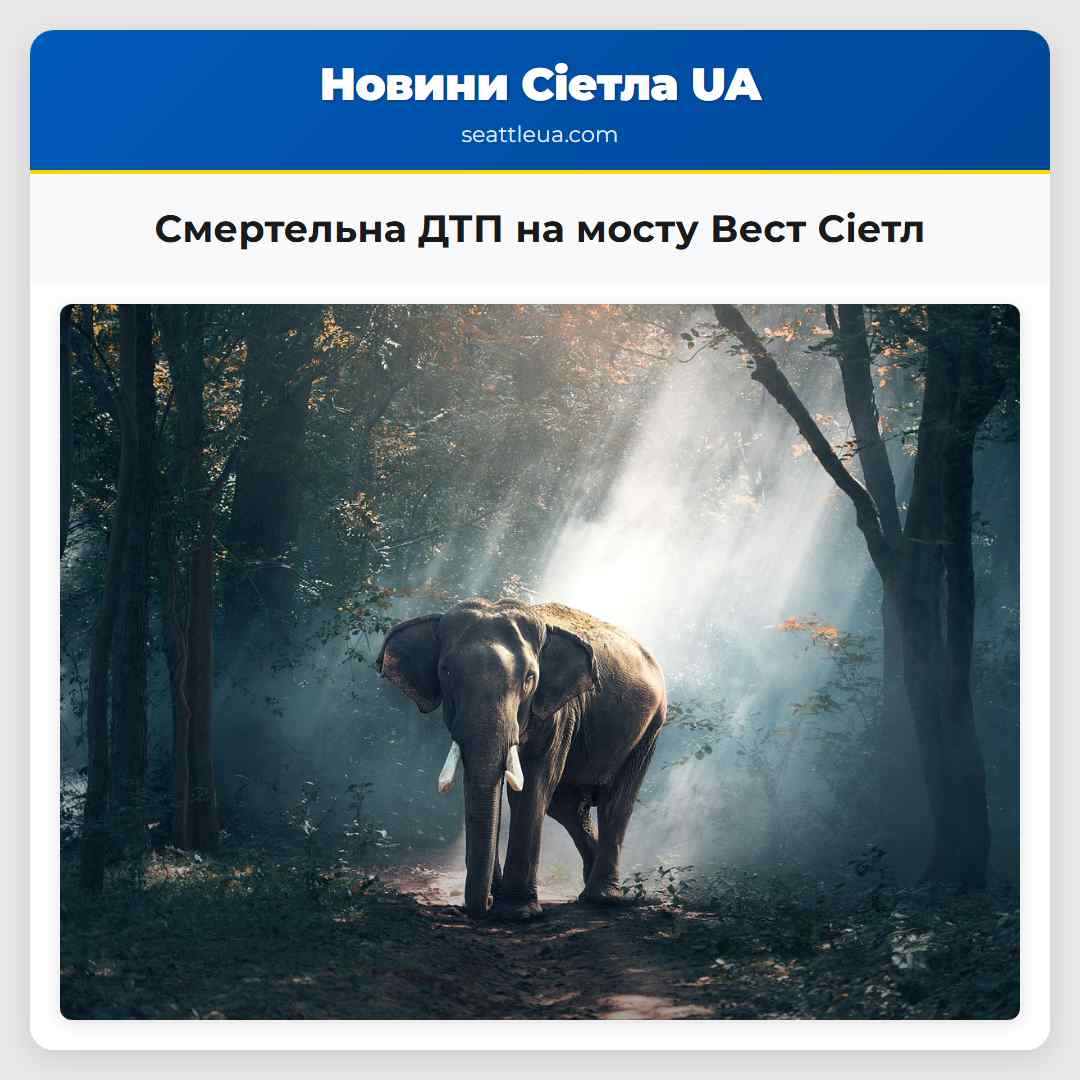 Смертельна ДТП на мосту Вест Сіетл