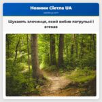 Шукають злочинця який вибив патрульні і втекав