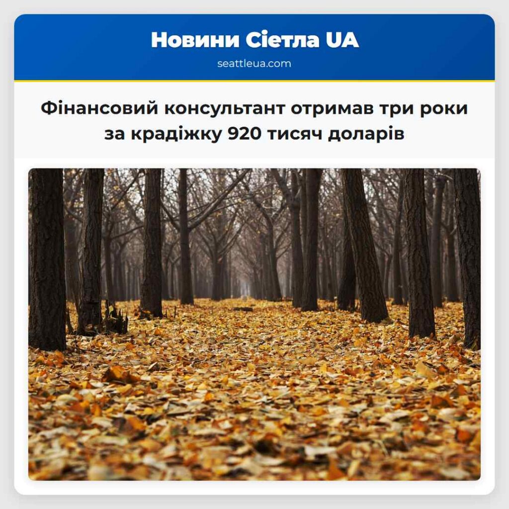 Фінансовий консультант отримав три роки за