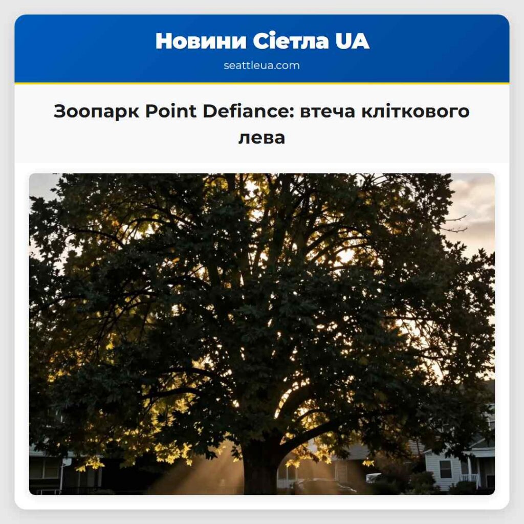 Зоопарк Point Defiance: втеча кліткового лева