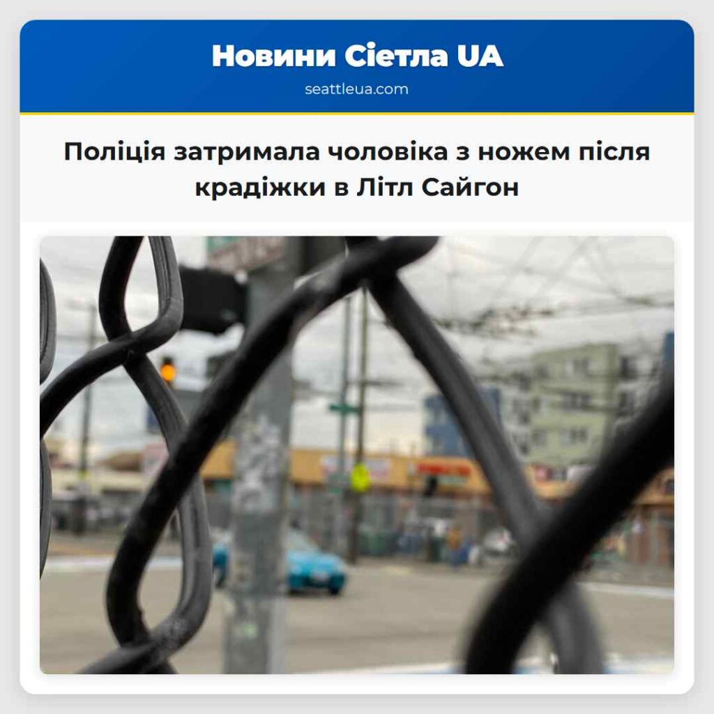 Поліція затримала чоловіка з ножем після крадіжки