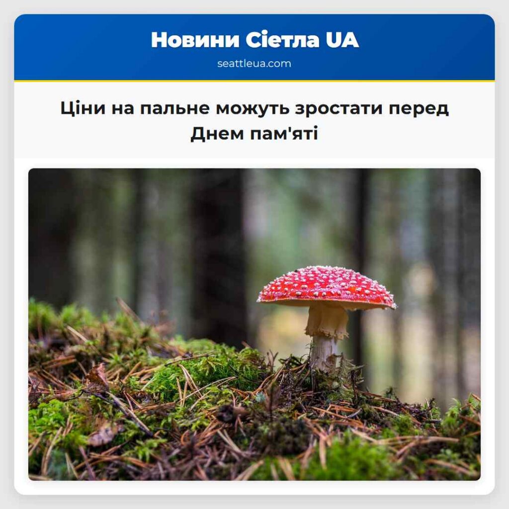 Ціни на пальне можуть зростати перед Днем пам'яті