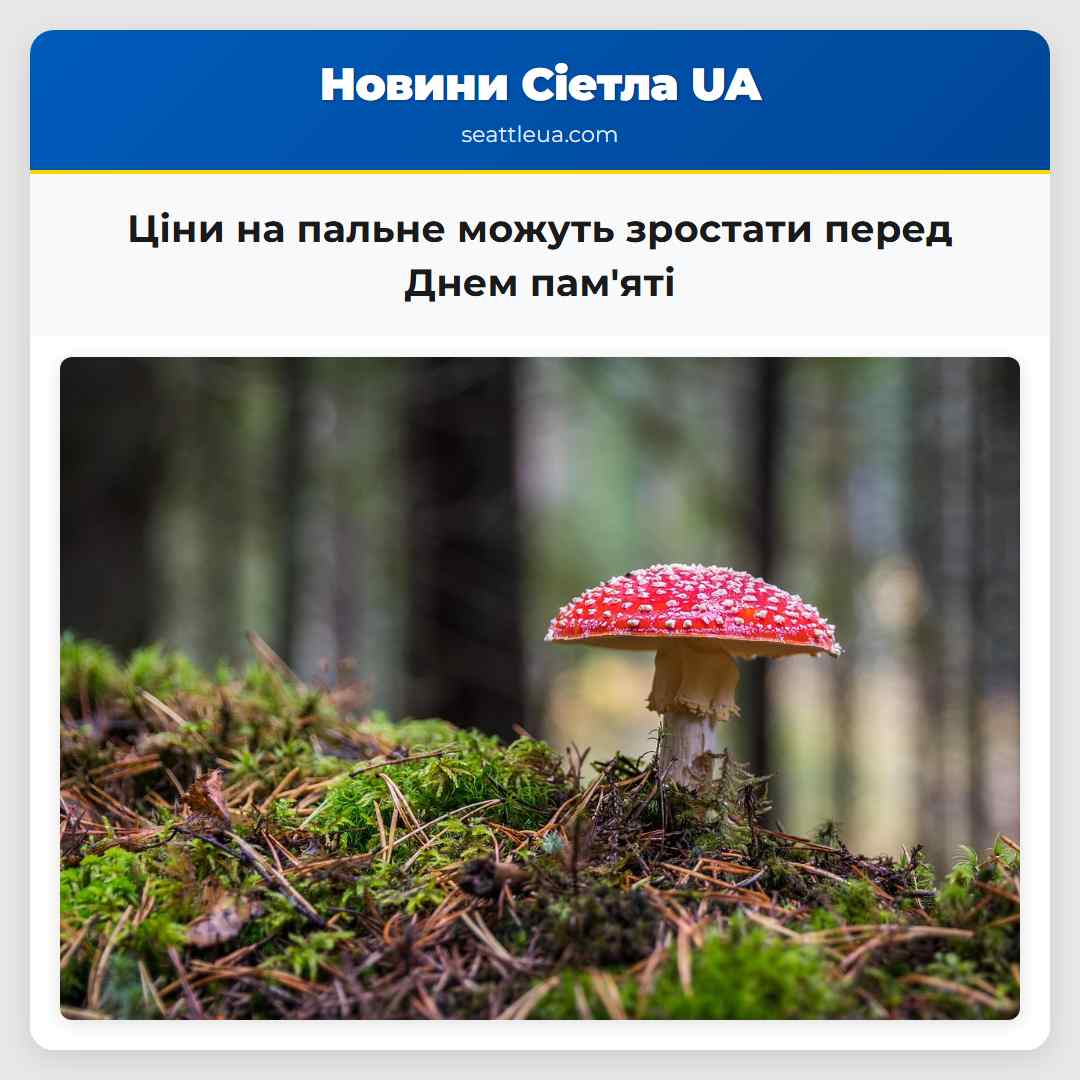 Ціни на пальне можуть зростати перед Днем памяті