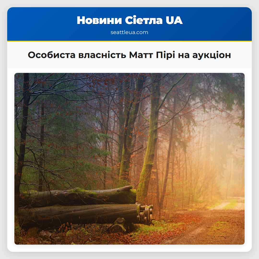 Особиста власність Матт Пірі на аукціон