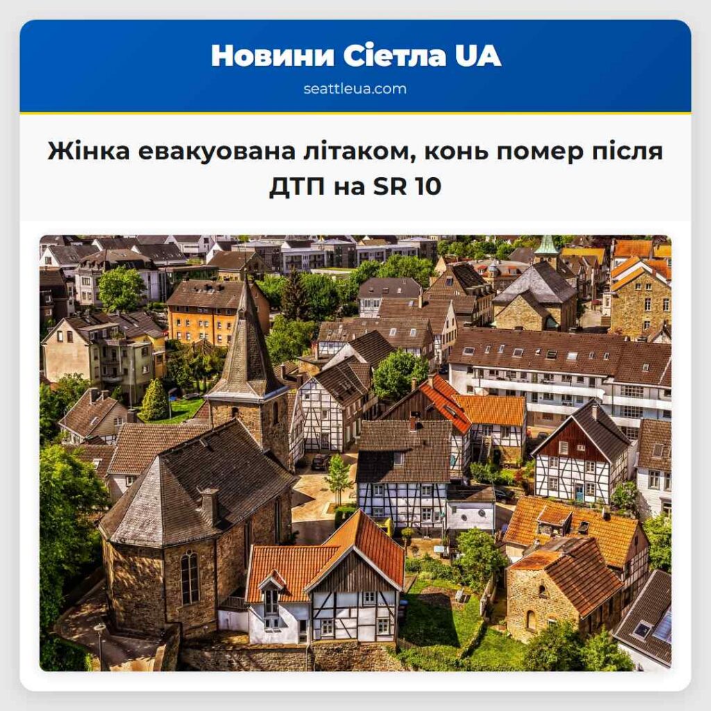 Жінка евакуована літаком, конь помер після ДТП на