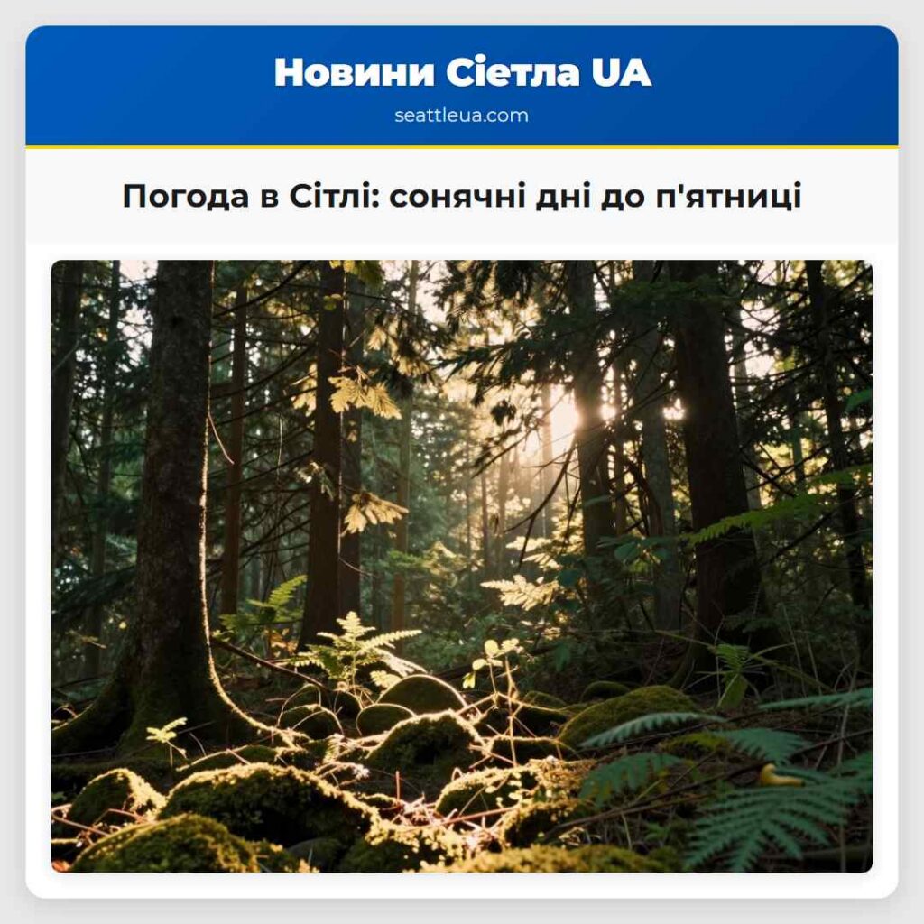 Погода в Сітлі: сонячні дні до п'ятниці