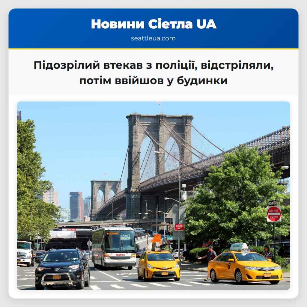 Підозрілий втекав з поліції, відстріляли, потім