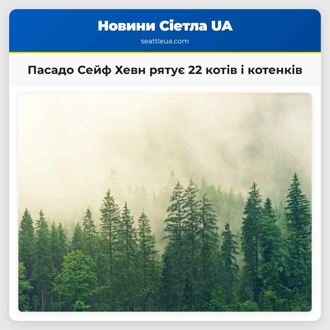 Пасадо Сейф Хевн рятує 22 котів і котенків