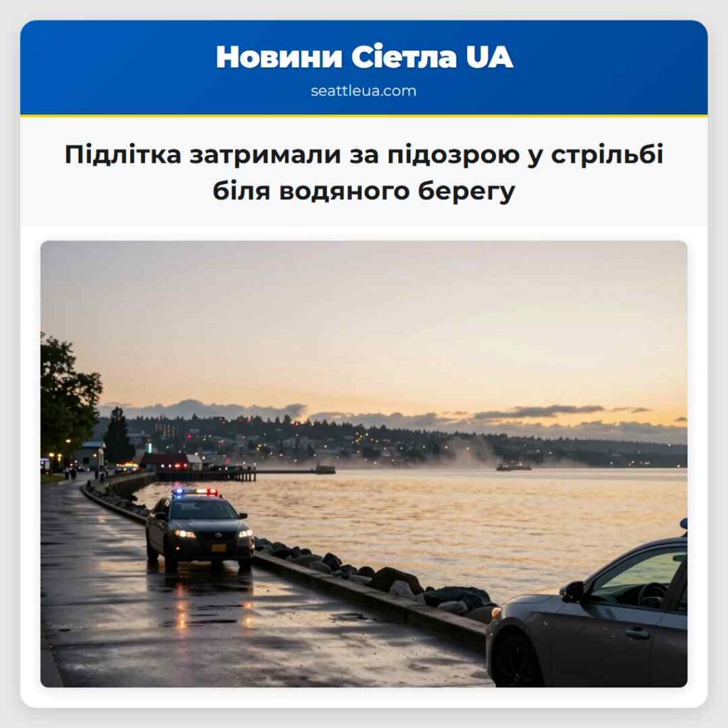 Підлітка затримали за підозрою у стрільбі біля